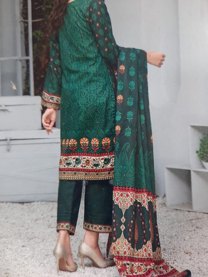 Abrish Brand Digital Printed Khaddar - Image 2