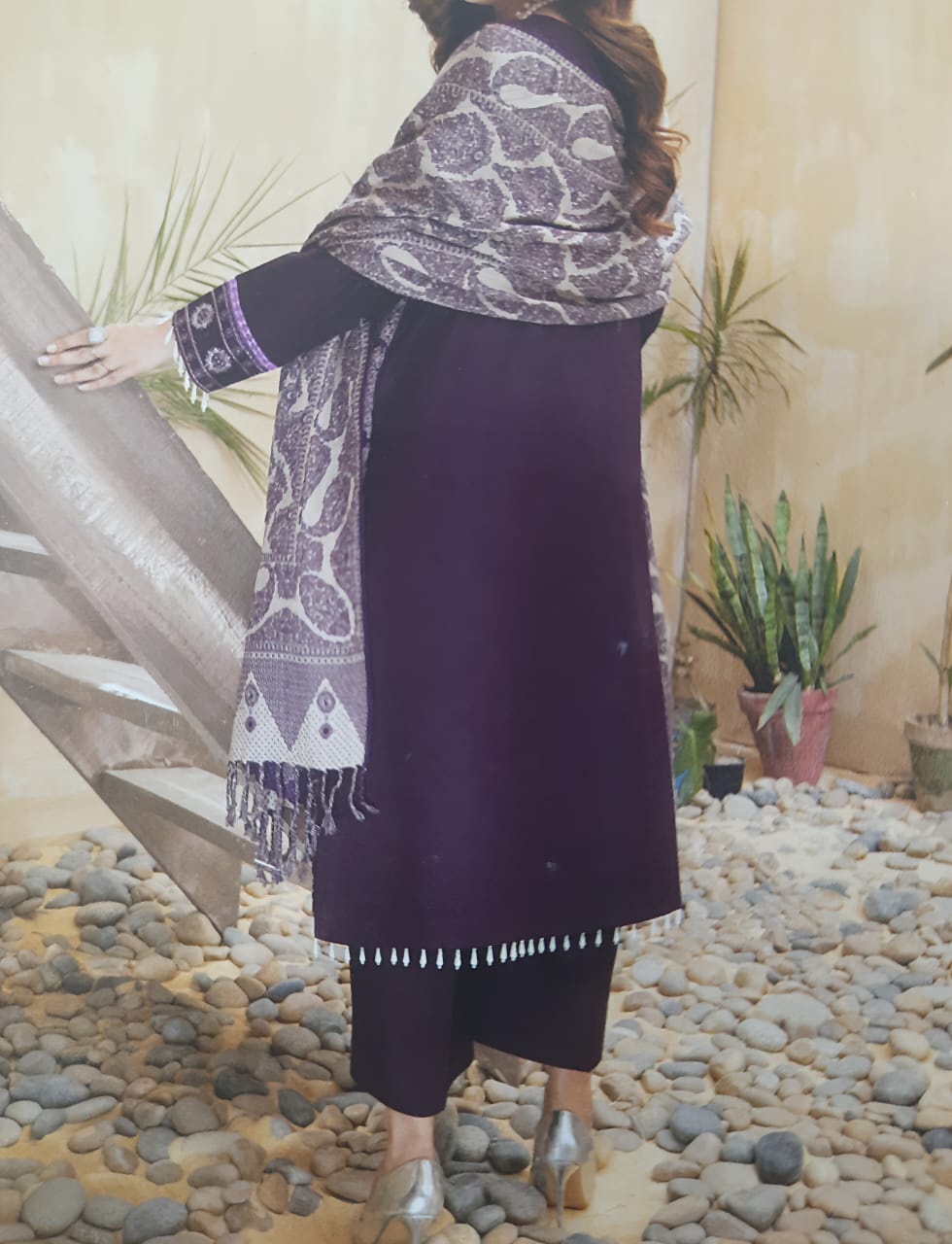 Aizal Embroidered Khaddar - Image 2