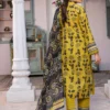 Summer Collection 2025